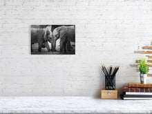 Load image into Gallery viewer, 5521904-1253553