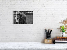 Load image into Gallery viewer, 5519765-1253573