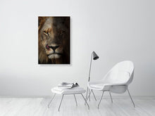 Load image into Gallery viewer, 5523210-1253596