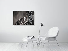 Load image into Gallery viewer, 5514701-1253013