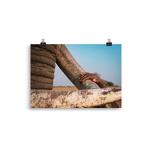 Load image into Gallery viewer, Mak and Marupia Prints