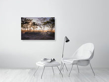 Load image into Gallery viewer, 5519786-1253583