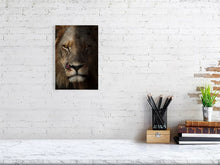 Load image into Gallery viewer, 5523210-1253594