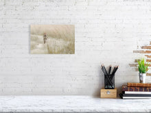 Load image into Gallery viewer, 5519727-1253557