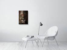 Load image into Gallery viewer, 5523210-1253595