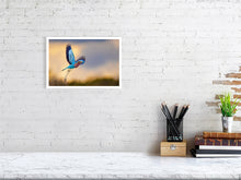 Load image into Gallery viewer, Lilac-Breasted Roller Print