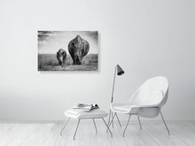 Load image into Gallery viewer, 5523088-1253587