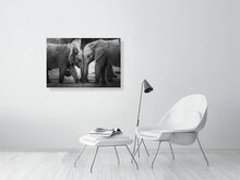 Load image into Gallery viewer, 5521904-1253555