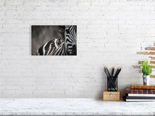 Load image into Gallery viewer, 5514701-1253011