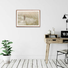 Load image into Gallery viewer, Catwalk - Cheetah - Fine Art Wildlife Photography Print