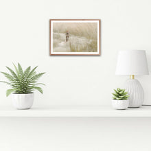 Load image into Gallery viewer, Catwalk - Cheetah - Fine Art Wildlife Photography Print