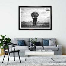 Load image into Gallery viewer, Gentle Giant - Elephant - Fine Art Wildlife Photography Print