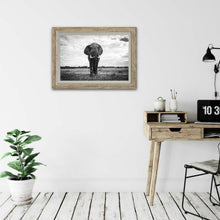 Load image into Gallery viewer, Gentle Giant - Elephant - Fine Art Wildlife Photography Print
