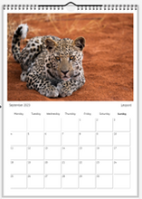 Load image into Gallery viewer, 2023 African Wildlife Calendar