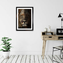 Load image into Gallery viewer, Scarface - Lion - Fine Art Wildlife Photography Print
