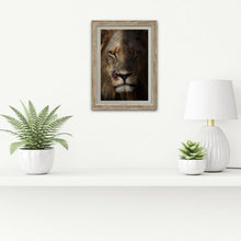 Load image into Gallery viewer, Scarface - Lion - Fine Art Wildlife Photography Print