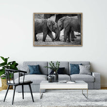 Load image into Gallery viewer, Young Love - Elephant - Fine Art Wildlife Photography Print