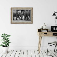 Load image into Gallery viewer, Young Love - Elephant - Fine Art Wildlife Photography Print