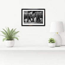 Load image into Gallery viewer, Young Love - Elephant - Fine Art Wildlife Photography Print