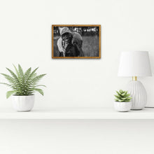 Load image into Gallery viewer, Inseparable - Pangolin - Fine Art Wildlife Photography Print