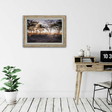 Load image into Gallery viewer, Sunrise - Cheetah - Fine Art Wildlife Photography Print