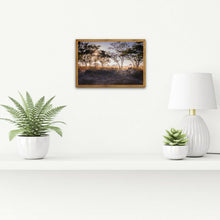 Load image into Gallery viewer, Sunrise - Cheetah - Fine Art Wildlife Photography Print