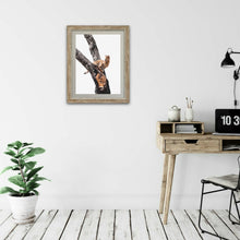 Load image into Gallery viewer, Who Knew? - Serval Cat - Fine Art Wildlife Photography Print