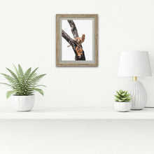 Load image into Gallery viewer, Who Knew? - Serval Cat - Fine Art Wildlife Photography Print