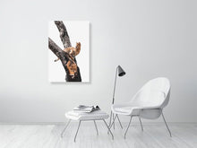 Load image into Gallery viewer, 5523211-1253599