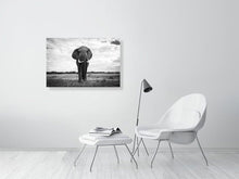 Load image into Gallery viewer, 5519759-1253571