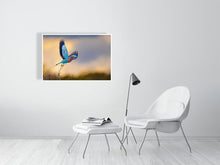 Load image into Gallery viewer, Lilac-Breasted Roller Print