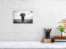 Load image into Gallery viewer, 5519759-1253569