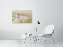 Load image into Gallery viewer, 5519727-1253559