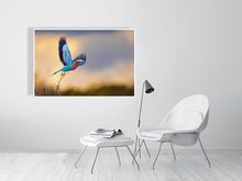 Load image into Gallery viewer, 7263122-2155377