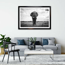 Load image into Gallery viewer, Gentle Giant - Elephant - Fine Art Wildlife Photography Print
