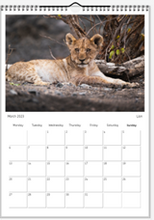Load image into Gallery viewer, 2023 African Wildlife Calendar
