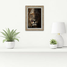 Load image into Gallery viewer, Scarface - Lion - Fine Art Wildlife Photography Print
