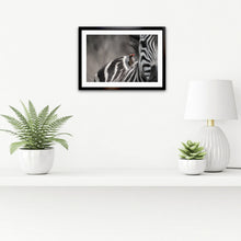 Load image into Gallery viewer, Unexpected Visitor - Zebra - Fine Art Wildlife Photography Print
