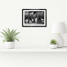 Load image into Gallery viewer, Young Love - Elephant - Fine Art Wildlife Photography Print
