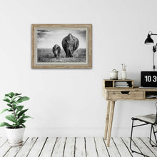 Load image into Gallery viewer, Little and Large - White Rhino - Fine Art Wildlife Photography Print
